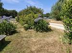 Grand parc devant les terrasses