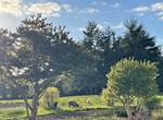 Moutons le soir