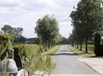 Oprijlaan met wilgenbomen 