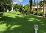 A-l-ombre-des-palmiers-royaux-jardin-l'or-des-caraibes