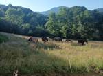 IMG_20230714_193121