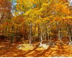 Mont ventoux. Copyright. 8745-Bedoin_-HOCQUEL_A_-_VPA-1600px