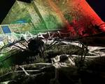araignée géante halloween au château féodal de la roche-en-ardenne