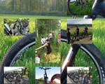 Eco trottinettes