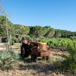 VIEUX TRACTEUR 1 REDI