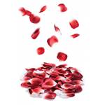 9CFF37B9-CA7D-441A-8F53-59604BEF76B5