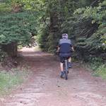 VTT en forêt