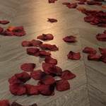 Screenshot_20250829_145540_Firefox