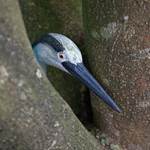 L'Heure Bleue•2020-07-10_Pidz-58•WEB