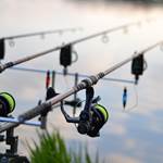 fishing-3302535_1920