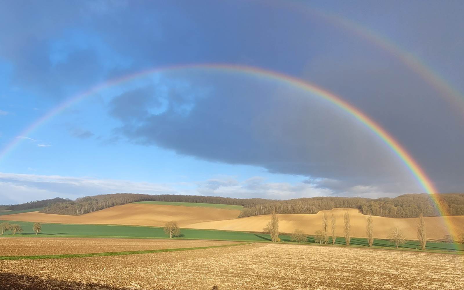 ARC EN CIEL WEB 1