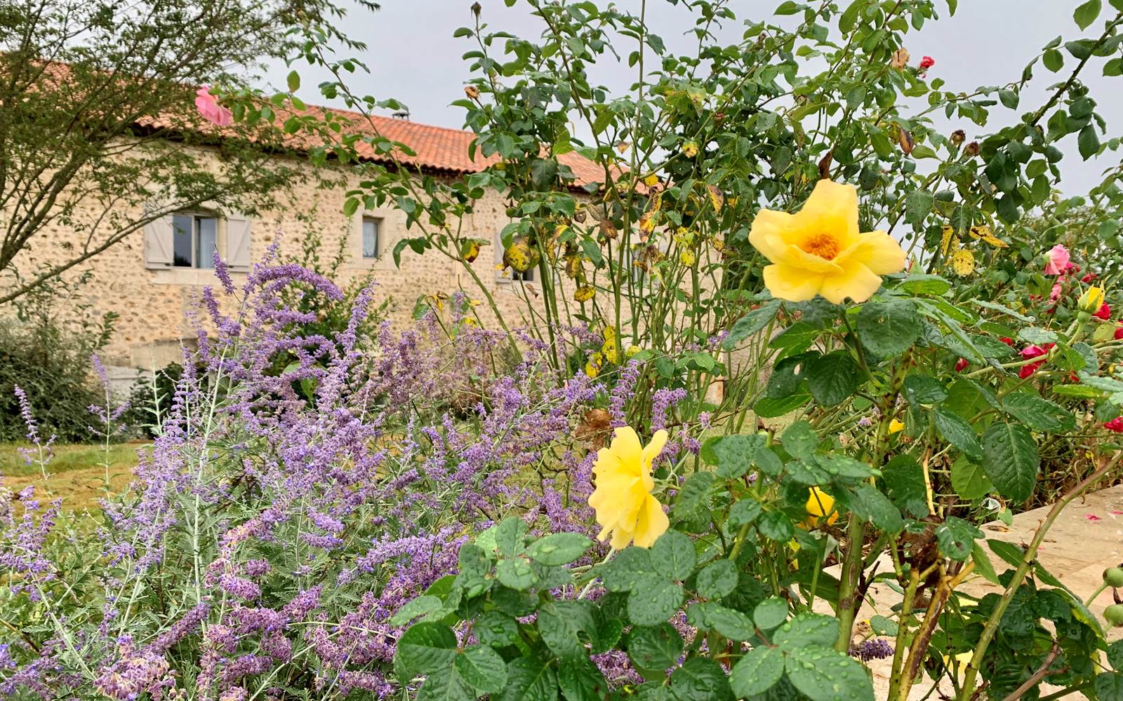 Chambre d'hôtes Tendance Campagne Jardin