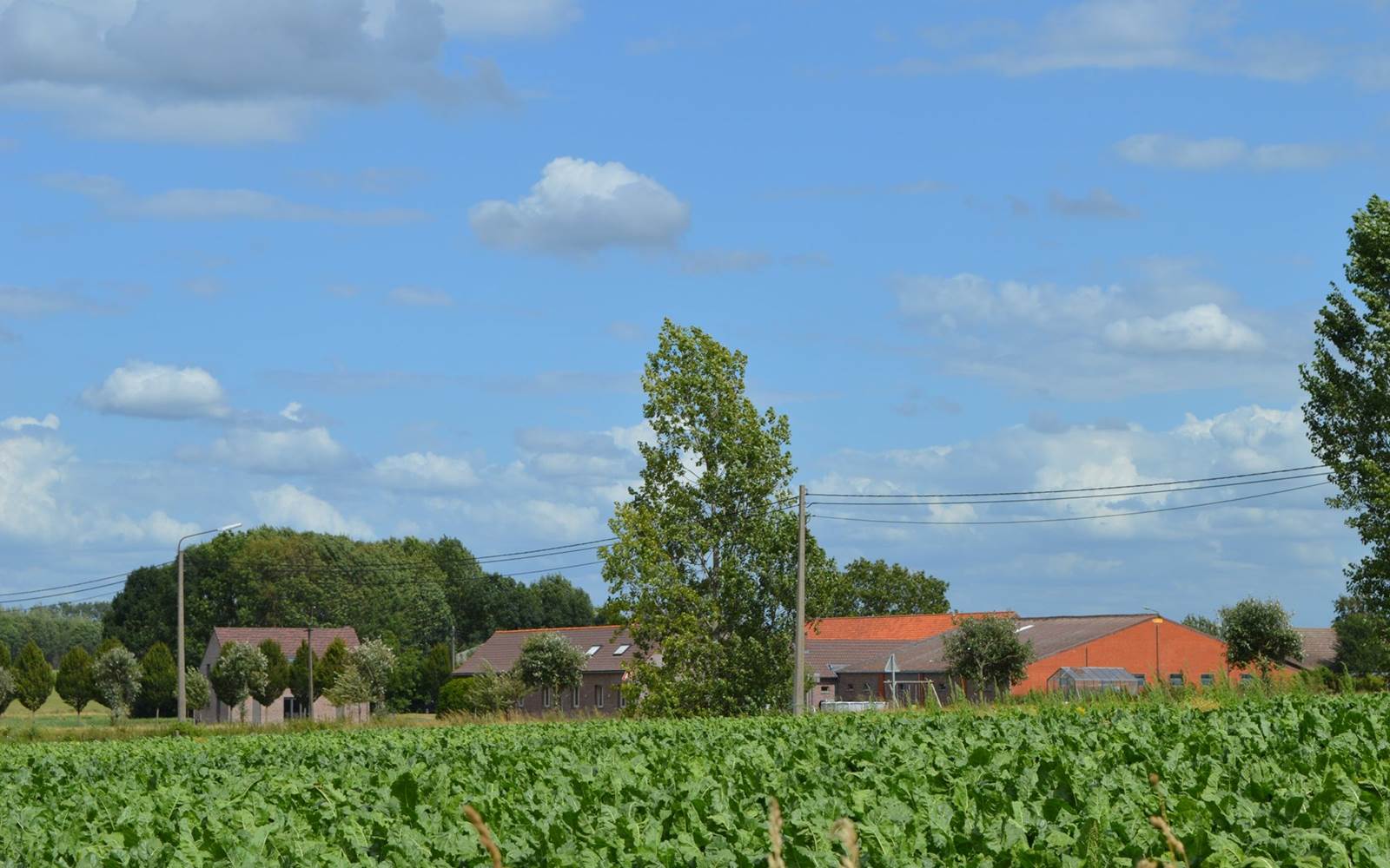 GÎTE DU CHEVAL BLANC - Alentour
