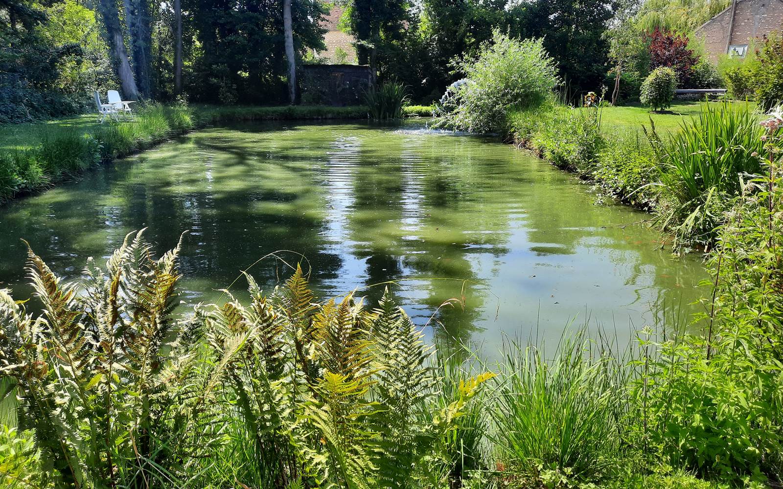 le bassin