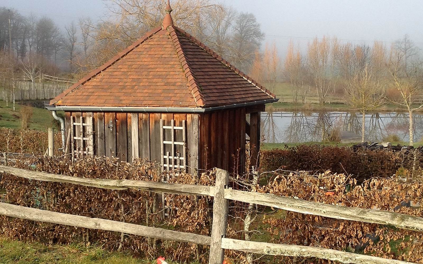 les poules du Domaine...