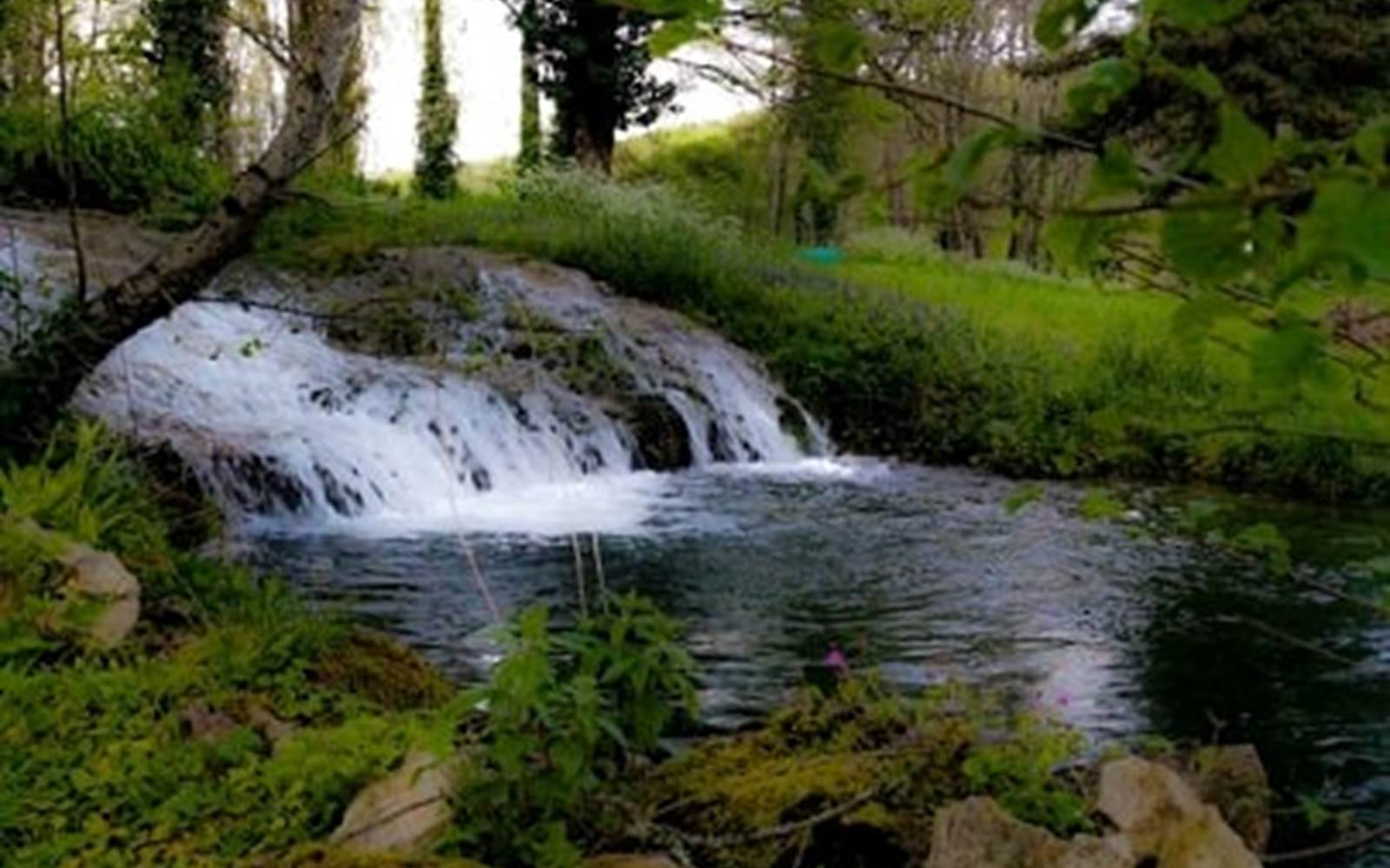 "Le Clos du Moulin", Village de Gîtes en Périgord : le parc
