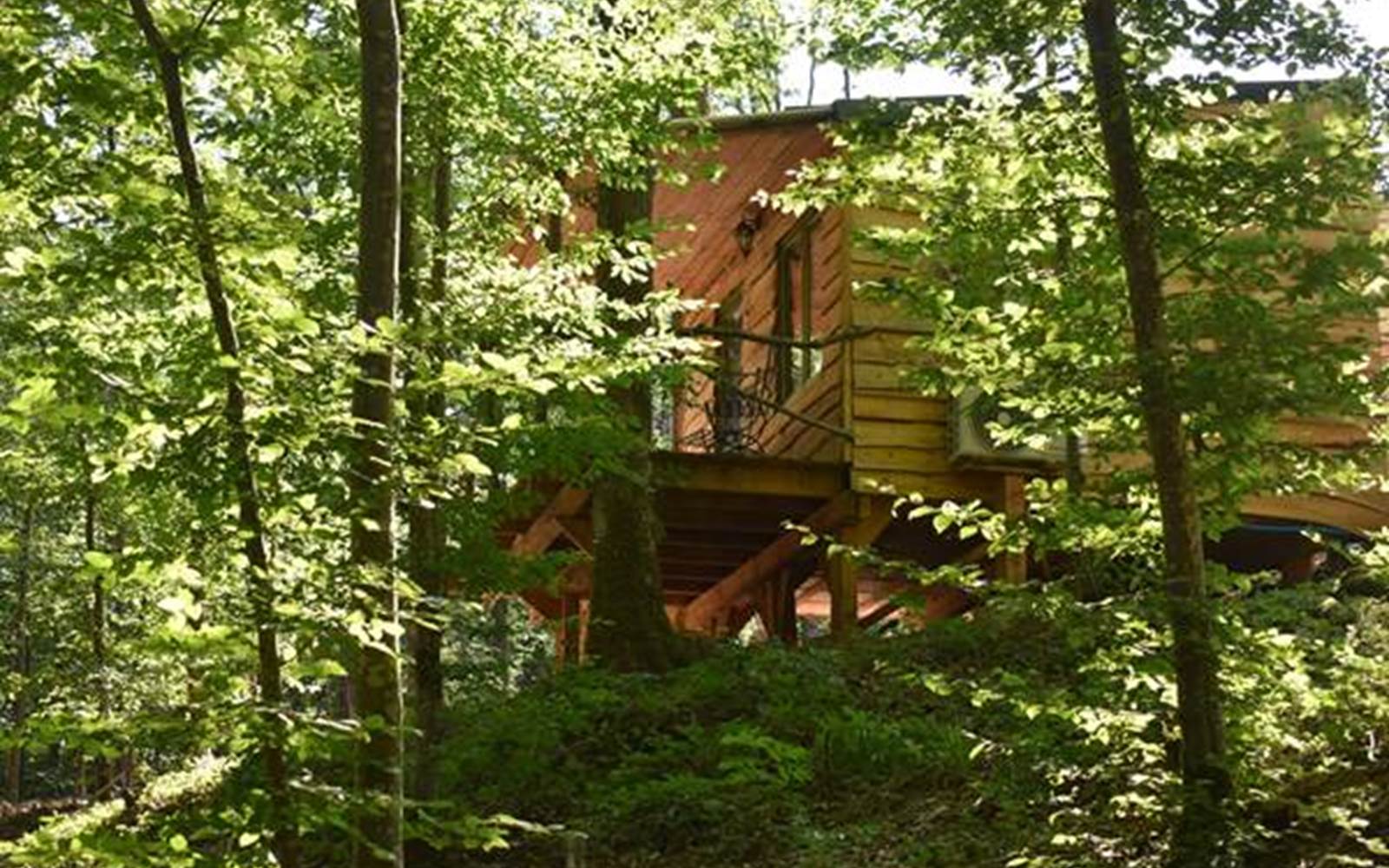Cabane aux ecureuils