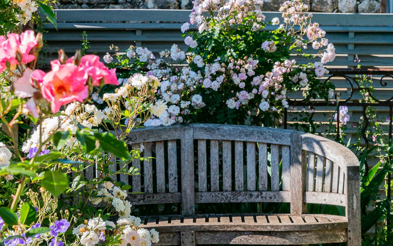 Jardin