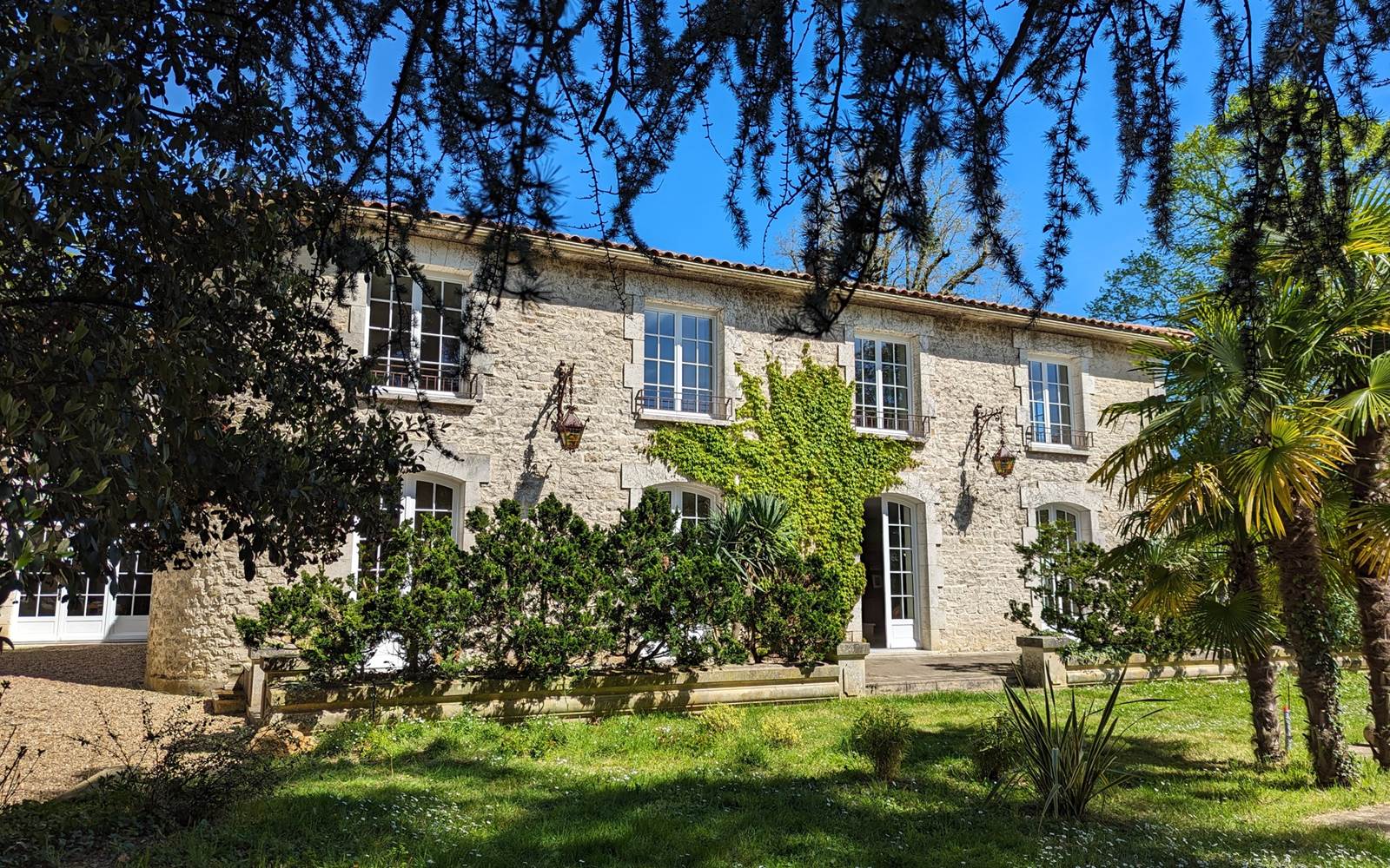 PXL_20240412_104947029