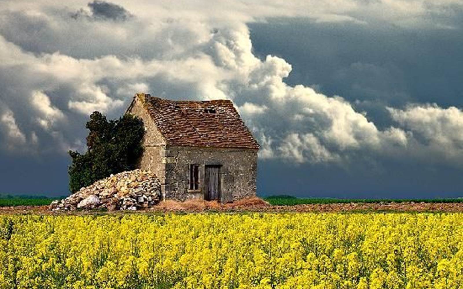 Loges de vignes