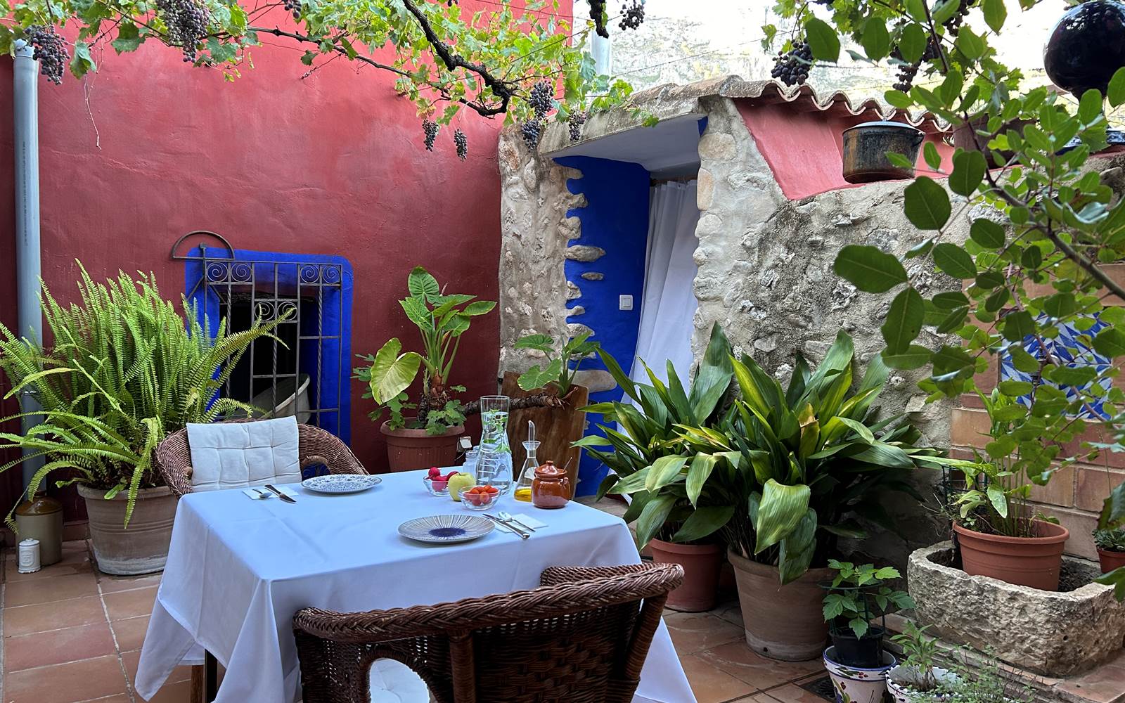 Desayuno patio interior