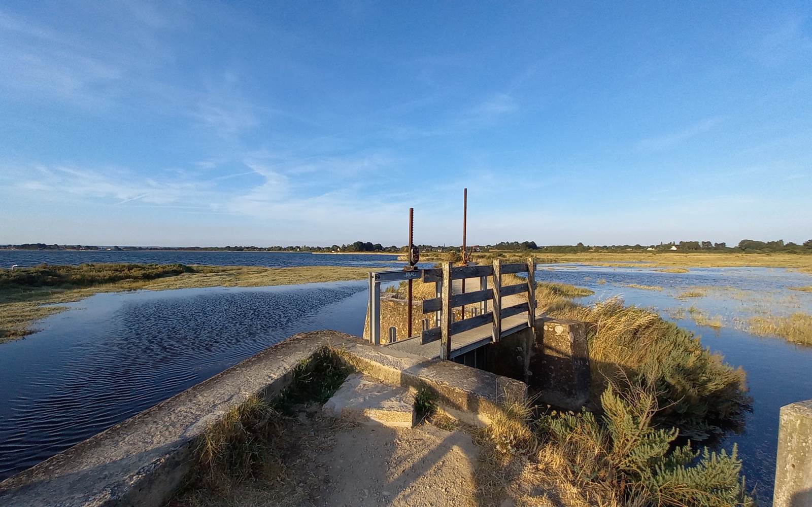 Les marais de Saint Armel - Golfe du Morbihan
