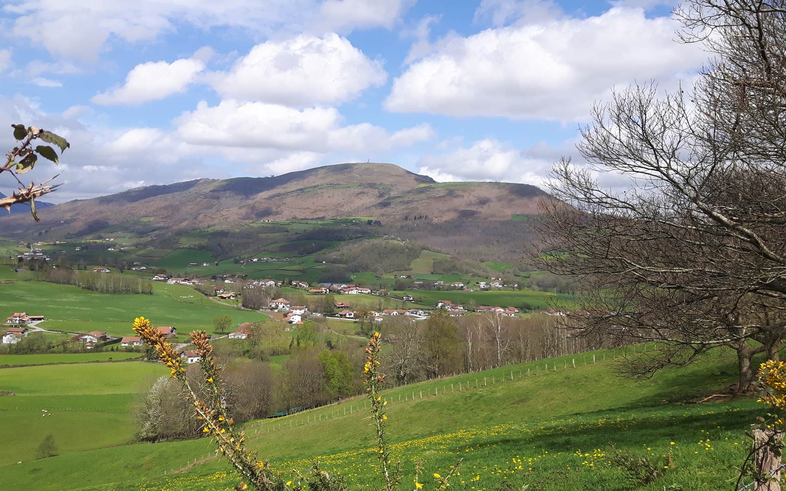 La vue sur la propriété