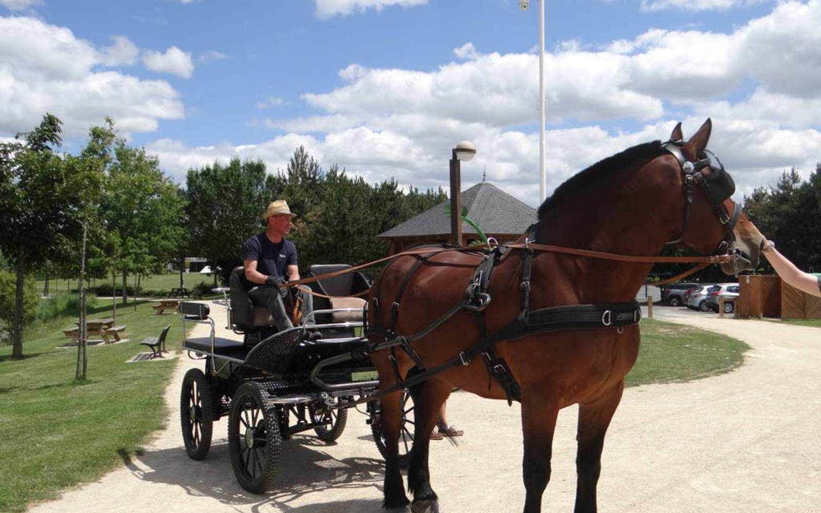 Balade-cheval-Caleche-Loretaine