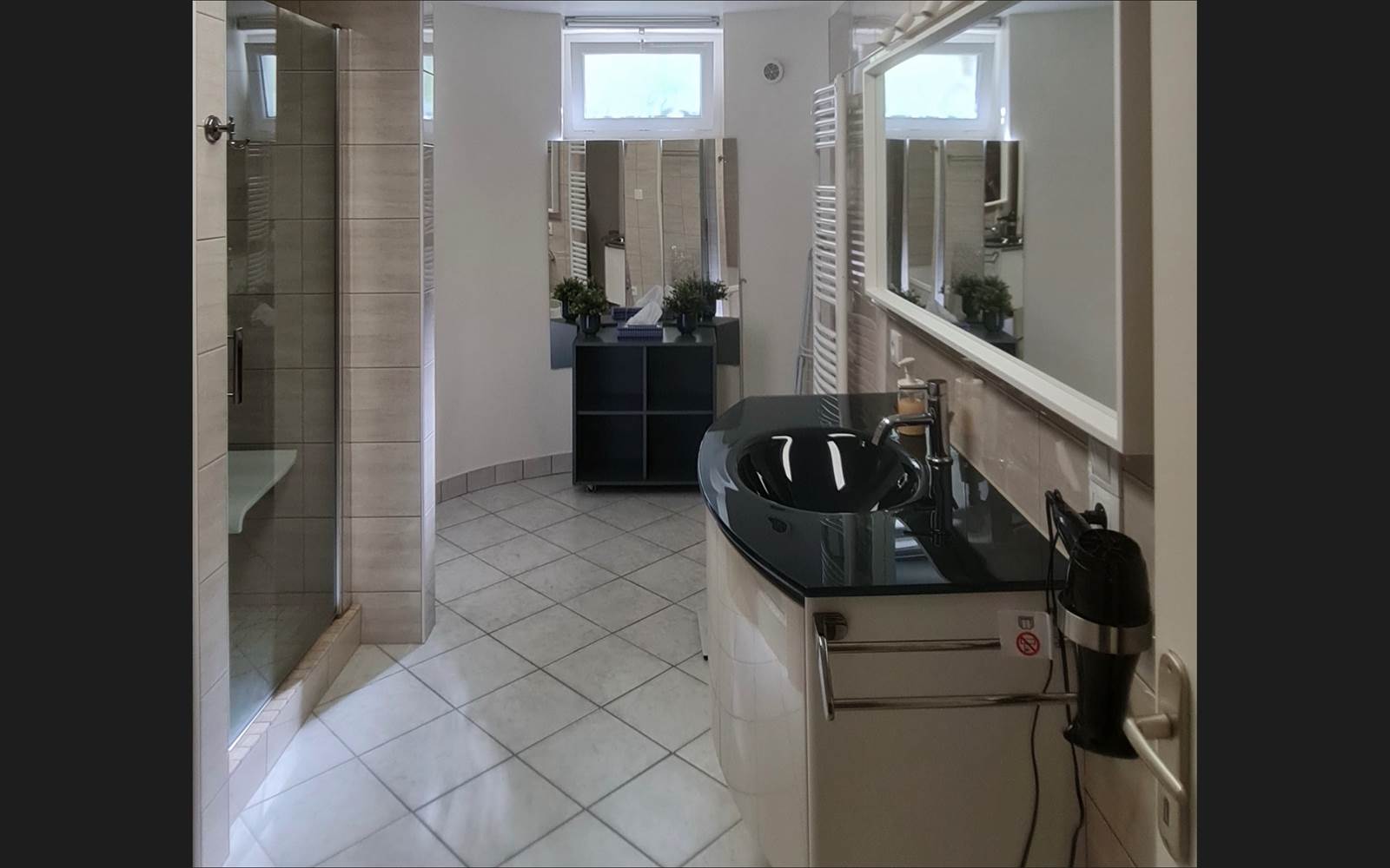 VILLA DU LAC VICHY - salle de bain douche