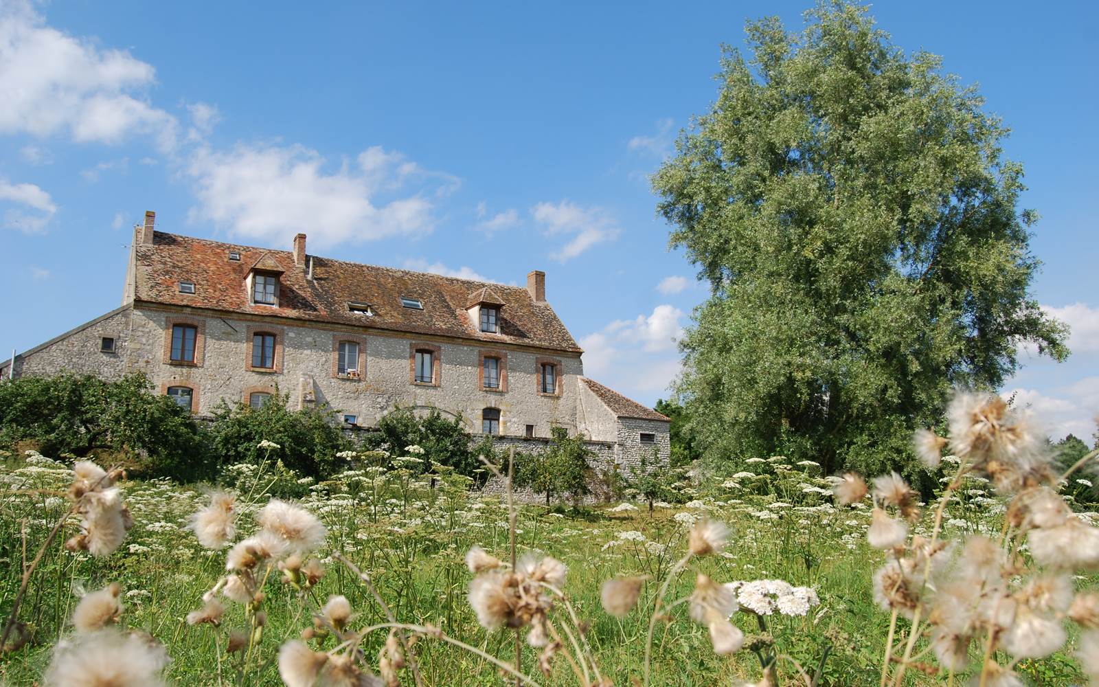 La ferme vue d un pré