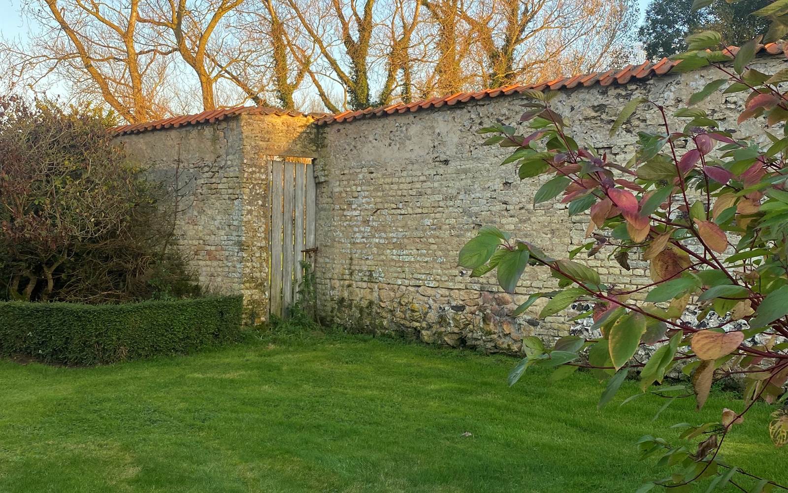 Le jardin