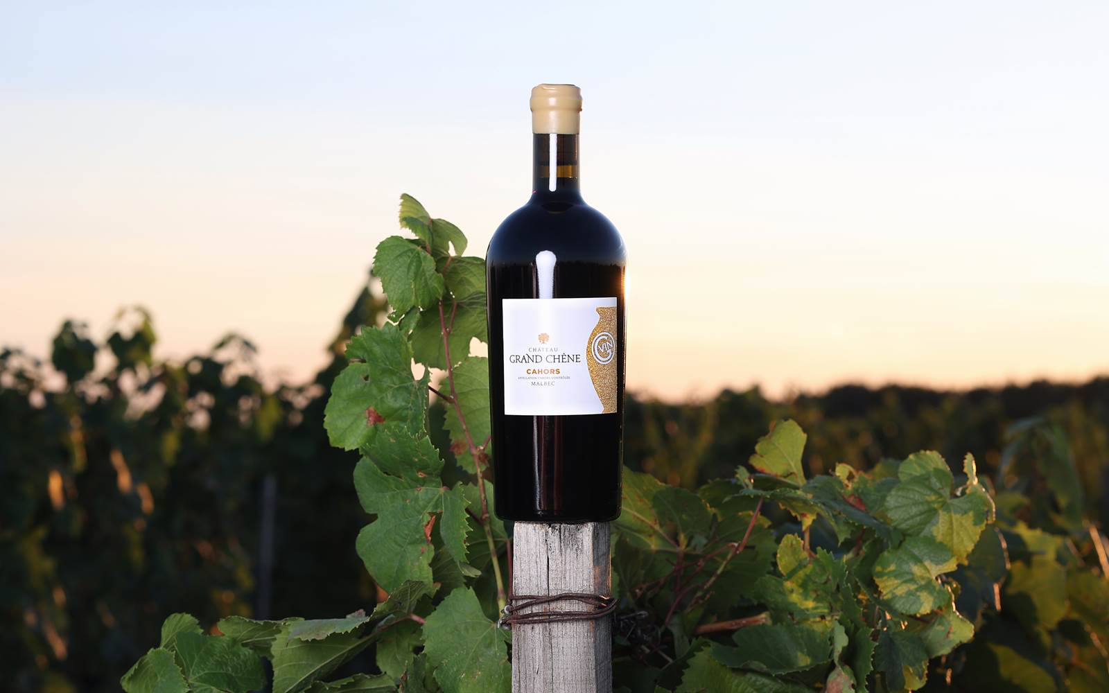 EOSR1901 © jeannoelmartin.com Tel 06 20 42 52 11