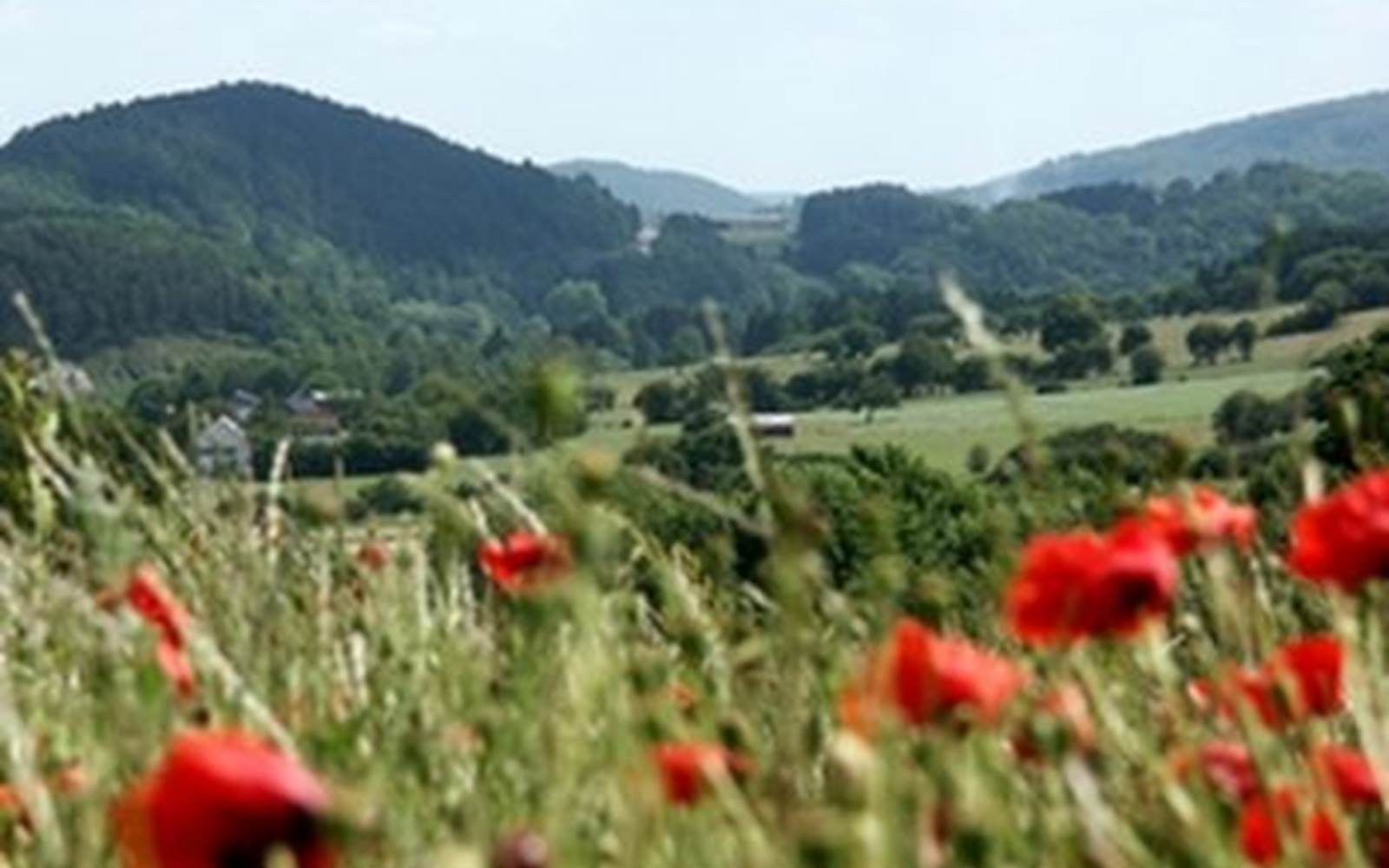 Le village d'Olloy lové dans la vallée du Viroin