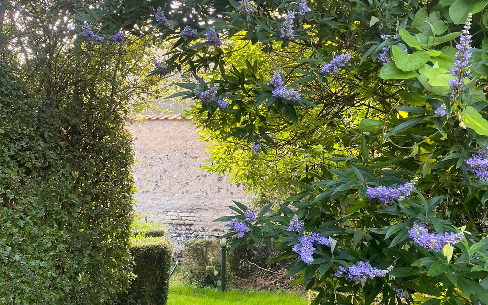 vue sur jardin de la chambre la rêveuse