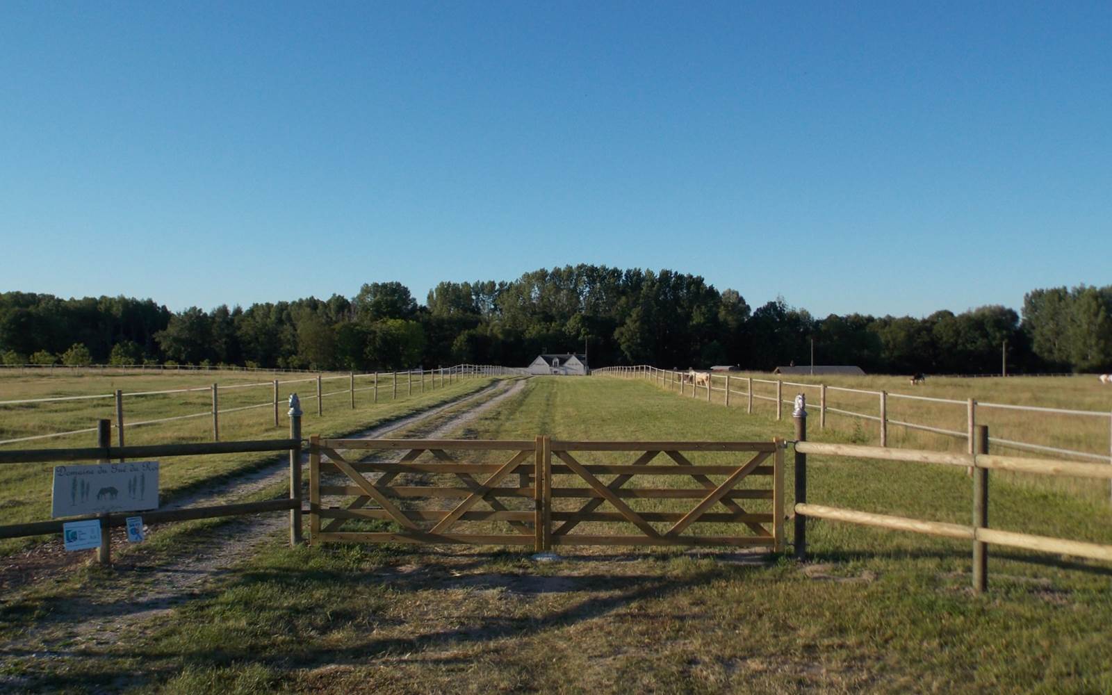 Domaine du Gué du Roi Allée