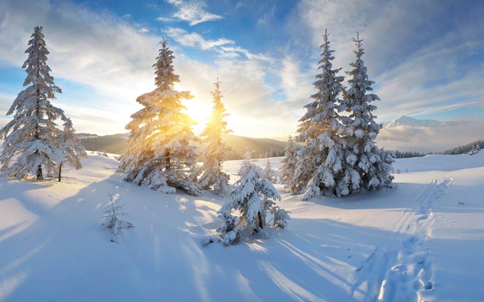 paysage d'hiver dans les vosges