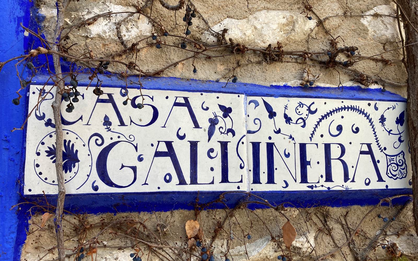 CasaGallinera