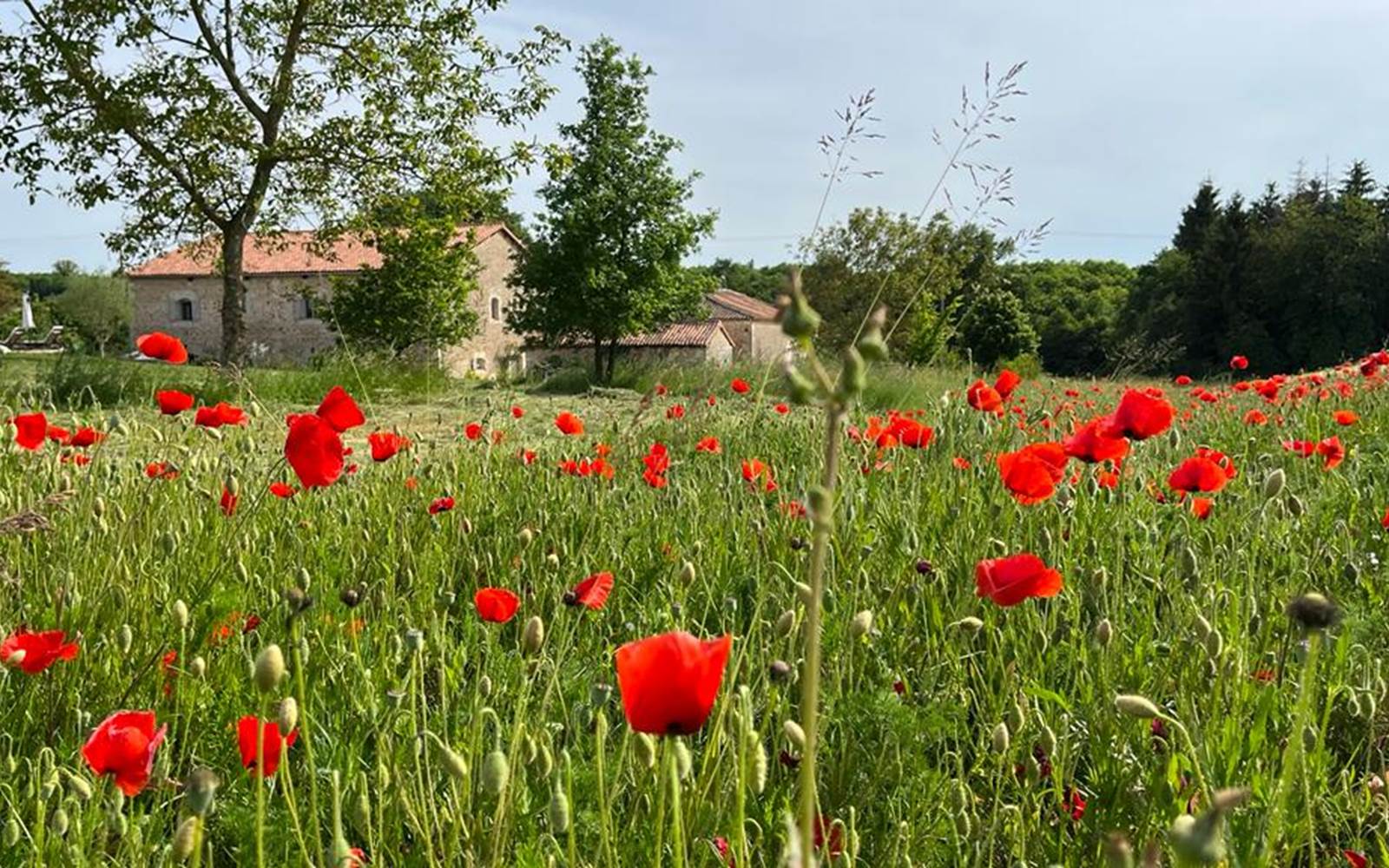 Chambre d'hôtes Tendance Campagne Jardin