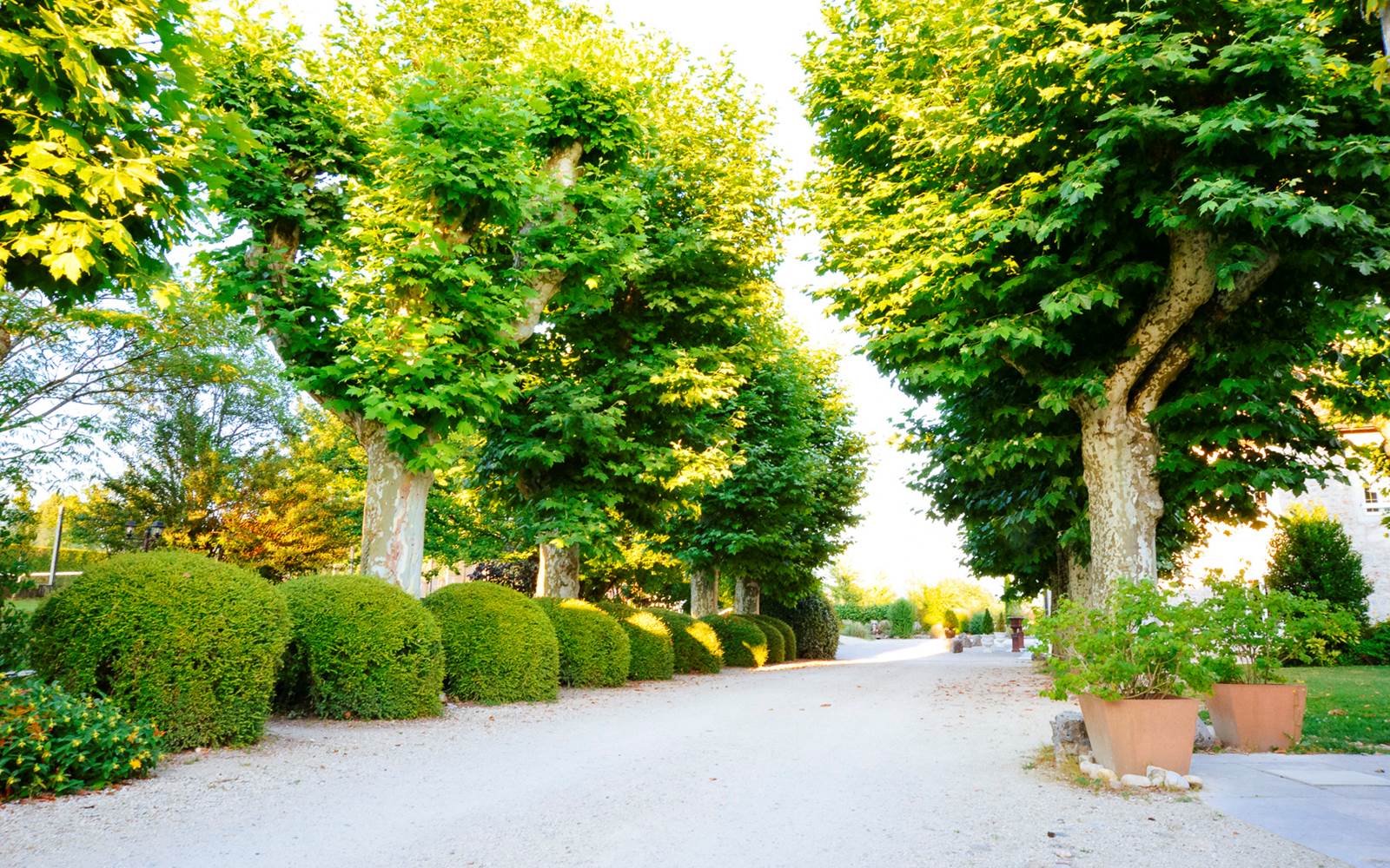 Domaine du Manoir