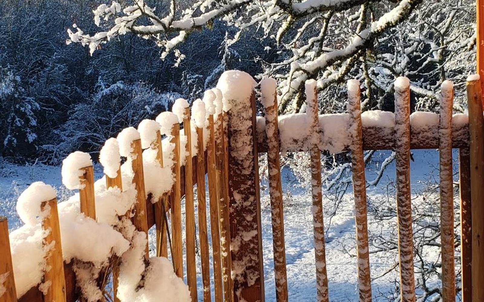 La neige s'invite "Au coeur de nos bois"