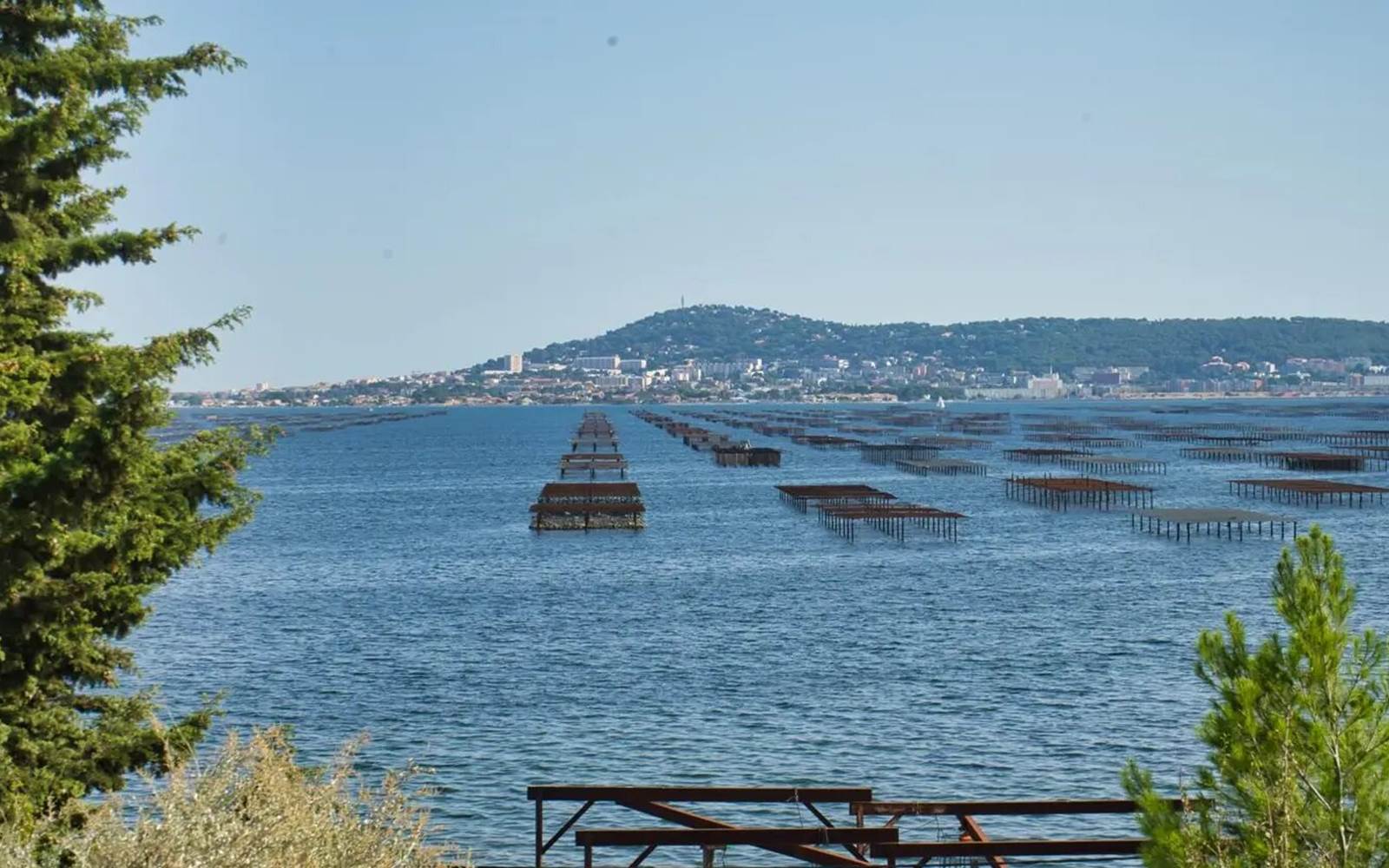 LES DEMEURES DE THAU - Etang