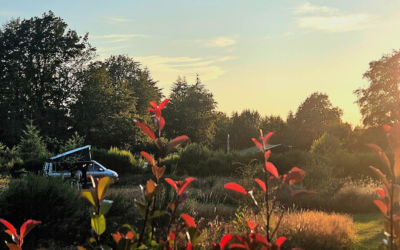 Le Ranch Camping- Campsite