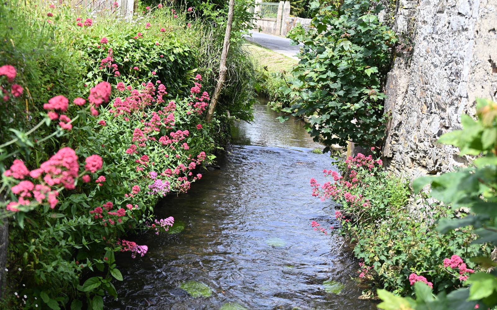 aufildeleau-cotentin-bnb-chambre-hote-le vast