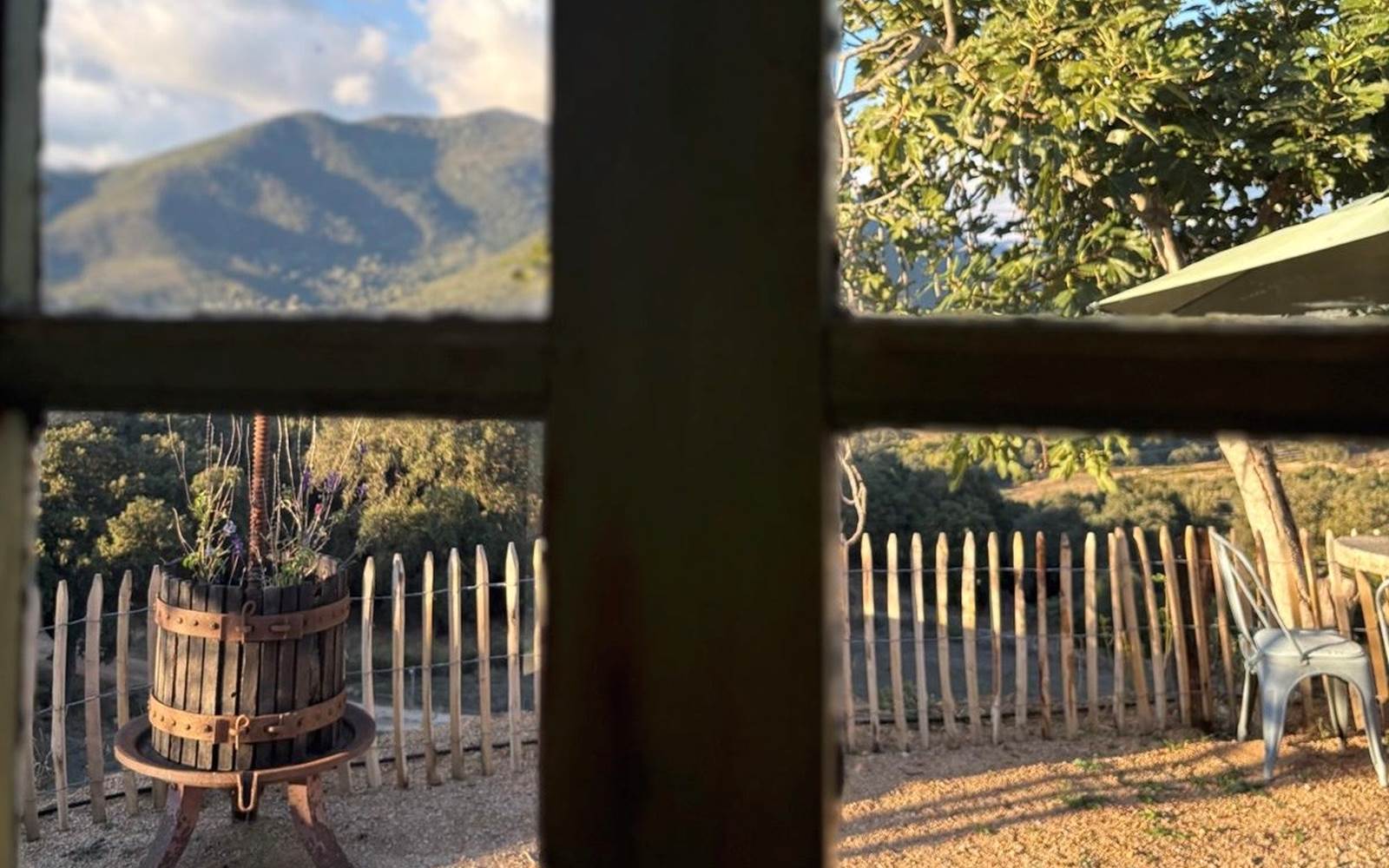 66b208c2-664f-456b-a6aa-3b761e175b5e