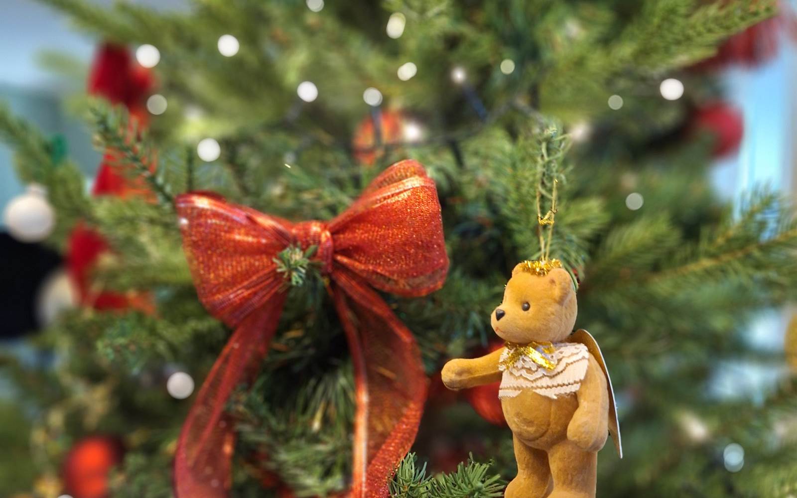 détail sapin le Quatre Feuilles proche Puy du Fou