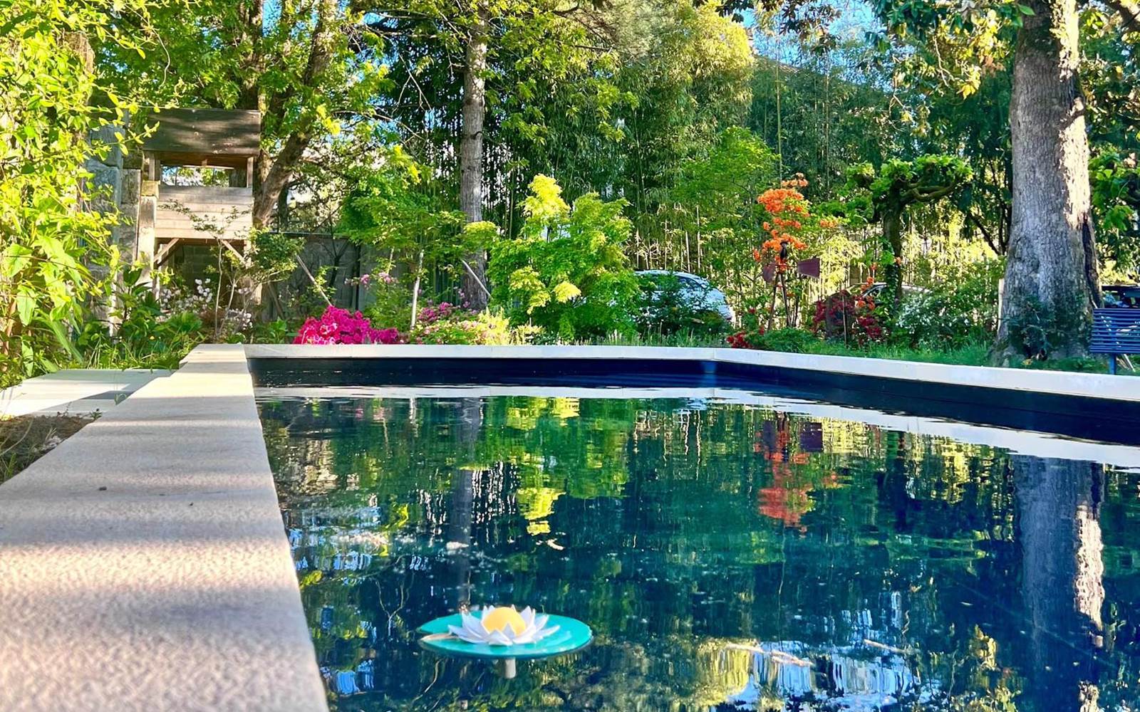 location-brive-appart-chambre-demeure-de-flore-piscine2
