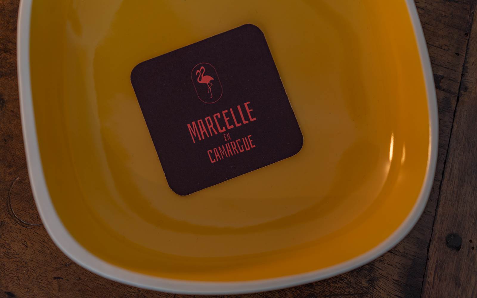 Vide poche Marcelle en Camargue