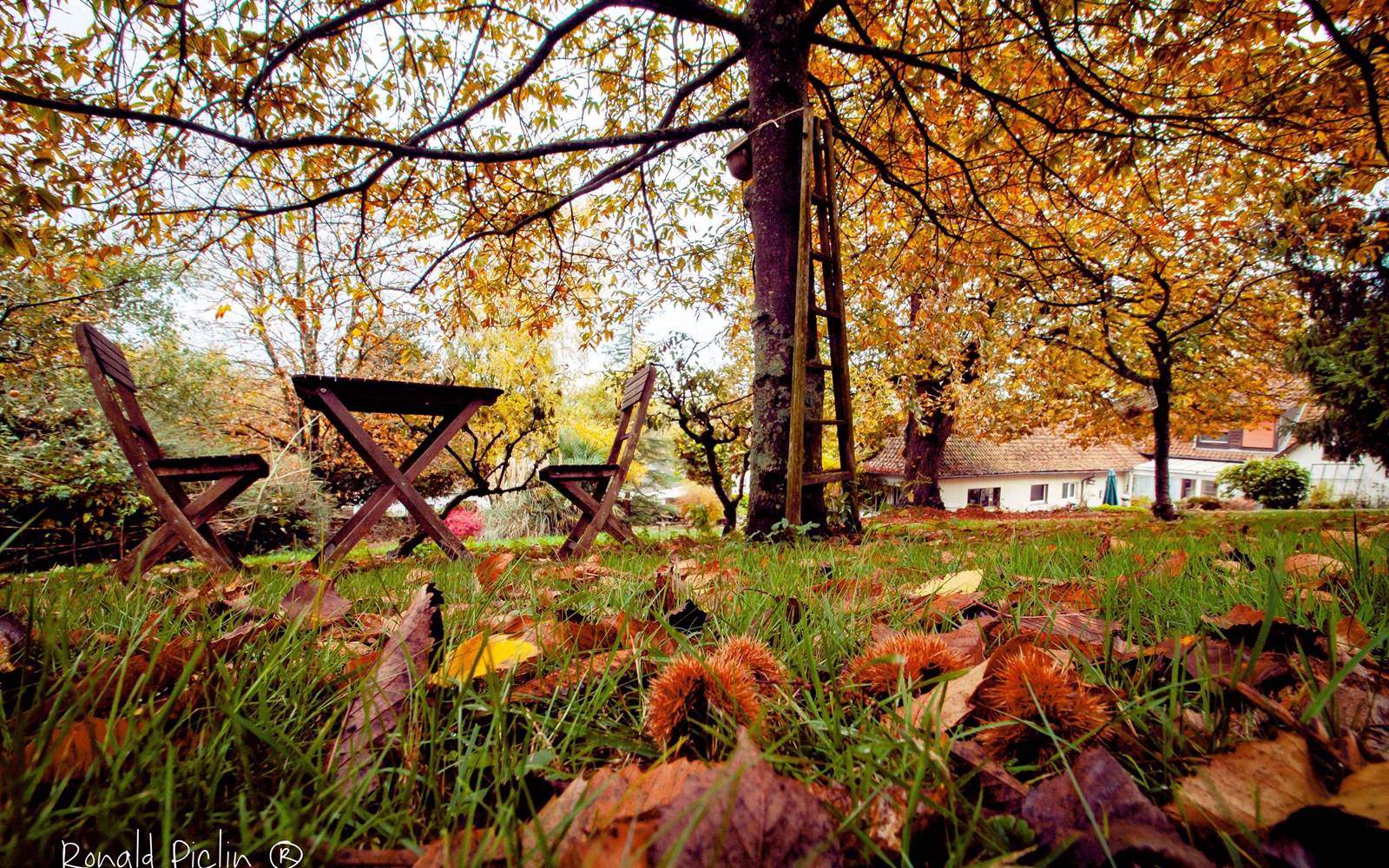 Jardin détente