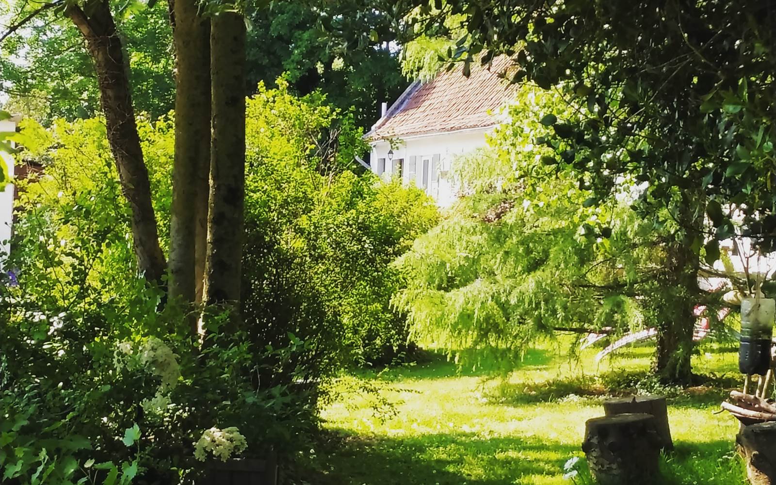 Jardin du gîte de charme