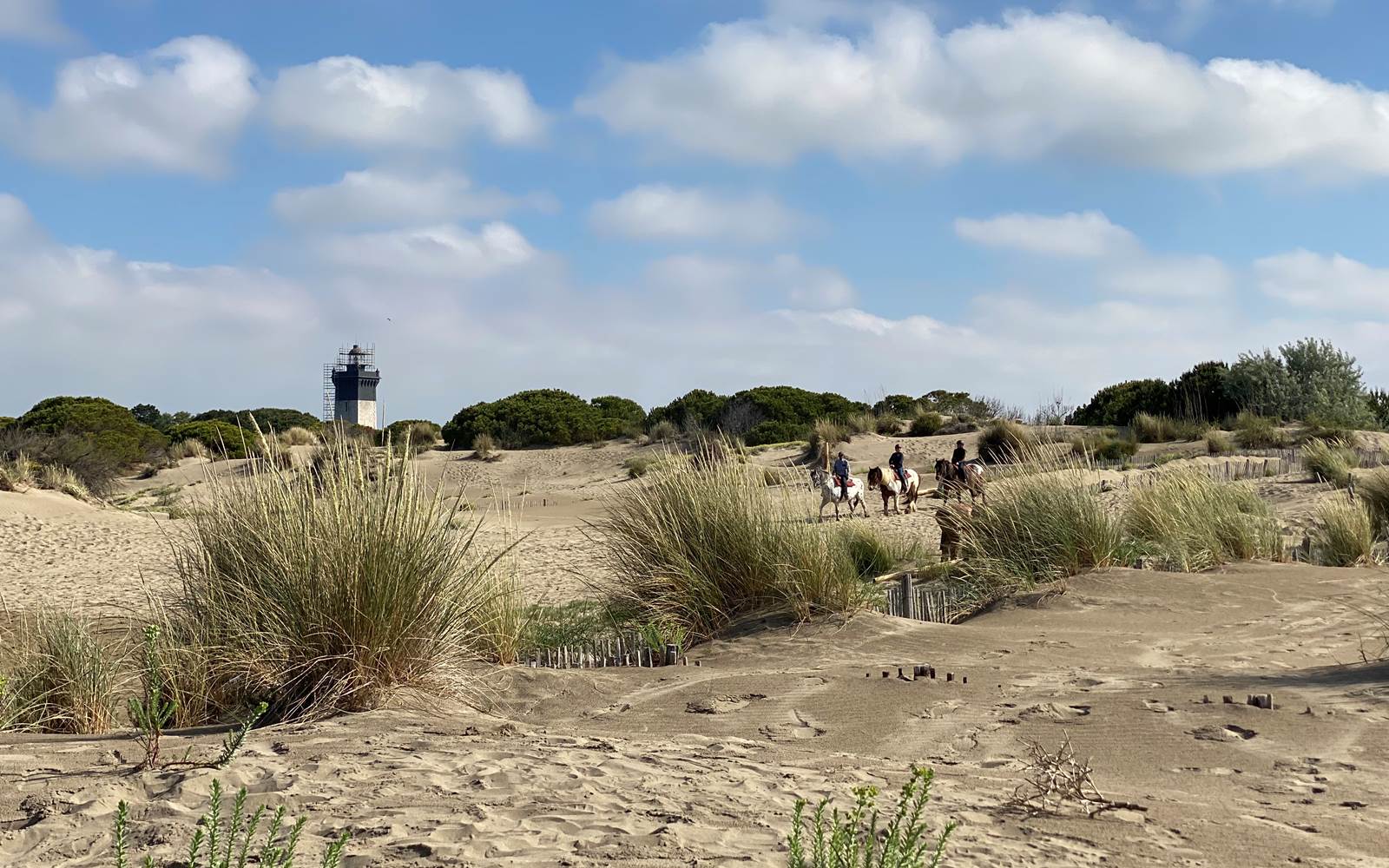 Phare de l'Espiguette